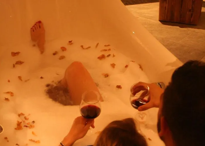 Hotel Logis Gourmet & Relax Wellness De La Sure 4*