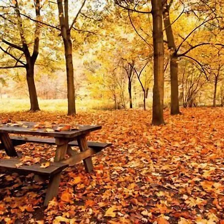 فندق Logis Gourmet & Relax Wellness De La Sure إيش زور شور