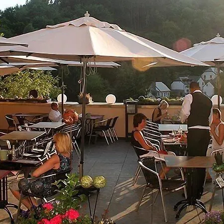 Hotel Logis Gourmet&relax Wellness De La Sure 4*