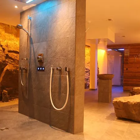 Logis Gourmet & Relax Wellness De La Sure 4* إيش زور شور