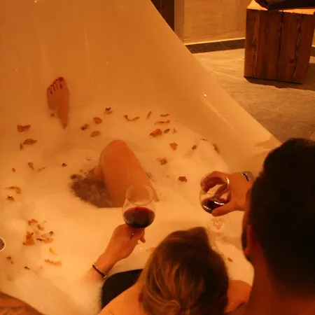 ホテル Logis Gourmet & Relax Wellness De La Sure 4*