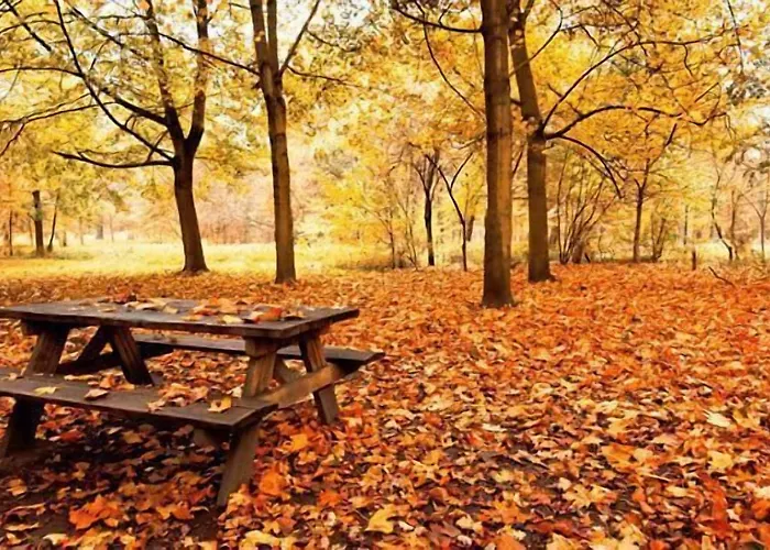 Hotel Logis Gourmet & Relax Wellness De La Sure Esch-sur-Sûre