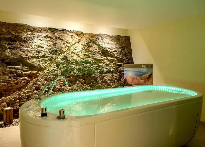 Hotel Logis Gourmet & Relax Wellness De La Sure